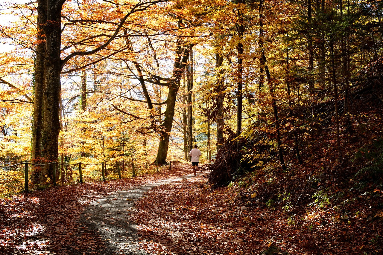 OFF SEASON TRAINING ~ FALL/WINTER RUNNING
