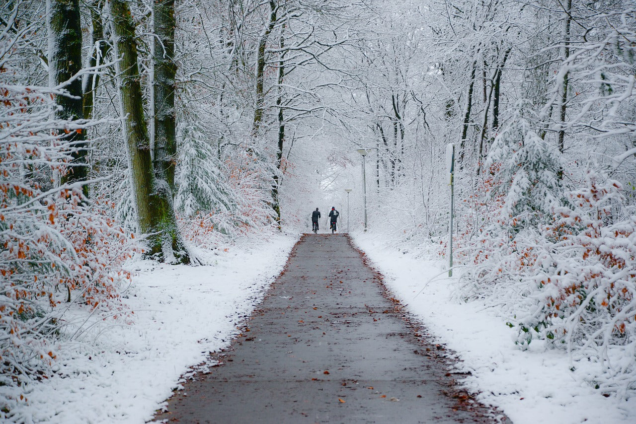FALL & WINTER MOTIVATION