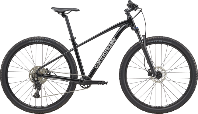 Cannondale Trail 2