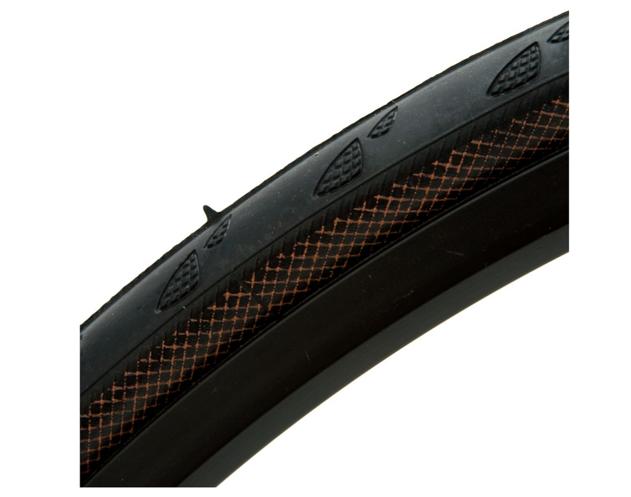 Continental Gatorskin Road Tire - Clincher, Folding, PolyX Breaker